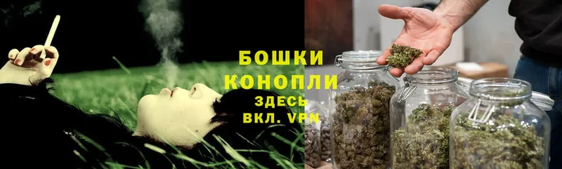 Шишки марихуана LSD WEED  mega ССЫЛКА  дарк нет официальный сайт  Бакал 